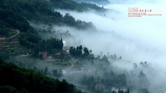 白云深处有人家