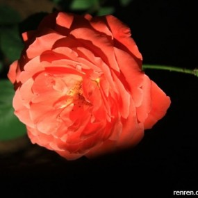 12.5月份 走哪儿拍哪儿...瞎按快门