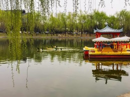 春江水暖鸭先知