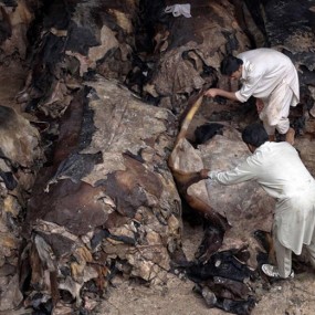 2011.11.9 - 11.15 新闻图片精选