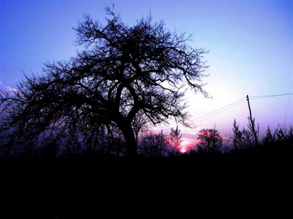 卡片机拍山村傍晚