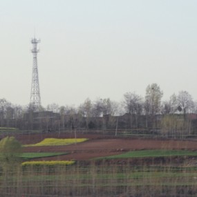 推荐洛阳牡丹一日游