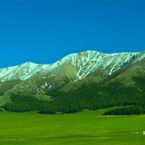 绿色之路（二）