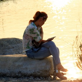 秋风  夕阳  卤阳湖