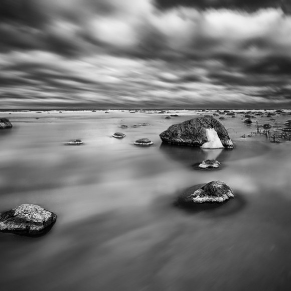 Black white landscape (10)