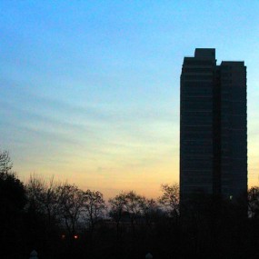 初冬晨游兴庆公园