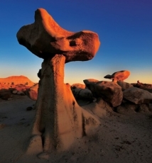 刘圃伟的自然写真 冷性幻境