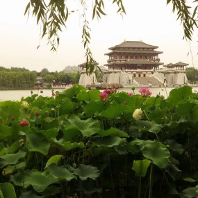 六月大唐芙蓉园