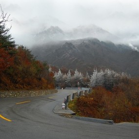 ——周六、周日挺忙活——