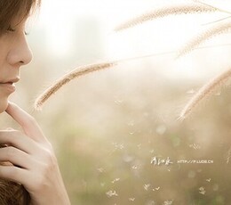 晚秋 阳光温暖如初