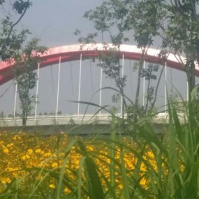 《手机版》夏日，到绿廊湿地撒个欢