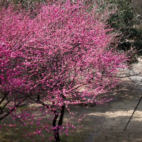 超级发烧友-----