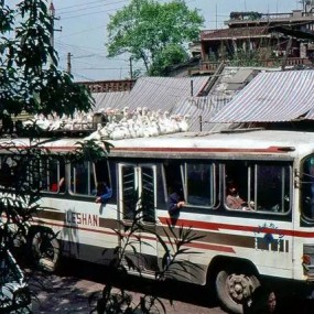 老照片：直辖前的巴渝生活 1994年