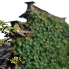 安徽黟县宏村（二）