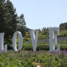 602半坡湖酒店随拍