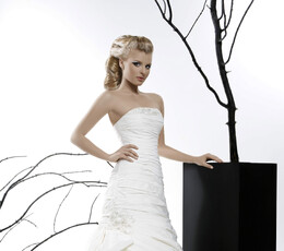 高贵、性感、典雅