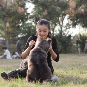 捷宝百城联动西安站活动作业 菜鸟 多多指教
