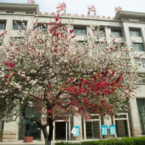 “长大季忆”长安大学第二届研究生主题摄影比赛优秀作品展