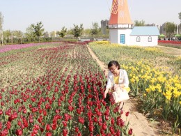 说是人像,感觉和普通着想差不到哪去