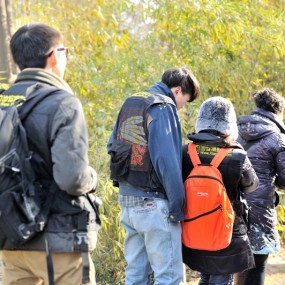 环城西苑拍一组小清新风格