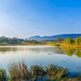 南京钟山体育公园秋色