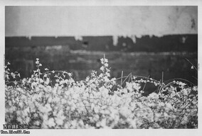 依旧是这样的黑白回忆