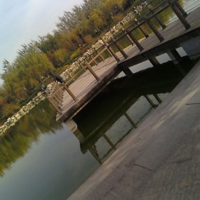 上上次周末活动花絮~