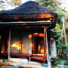 古色古香的日本庭园