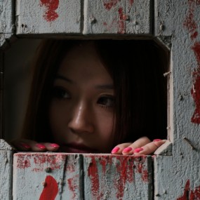 红韵（昨天洒金桥小学拍摄活动作业）