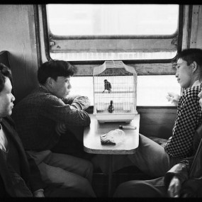 人间百态，包罗万象 | 王福春-《火车上的中国人》