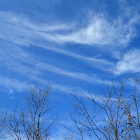 镇巴旦家坪风景