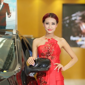 外闪拍车展（3）