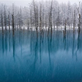 2013国家地理影赛入围新作