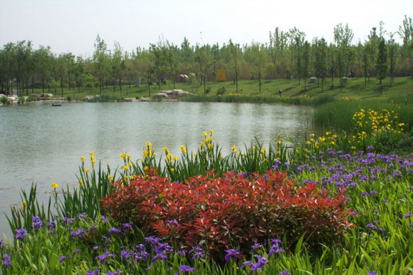 世博园，美景依旧