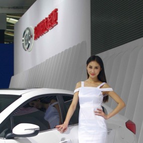 2012.10.01西安摄影论坛组织车展摄影4，河山拍照