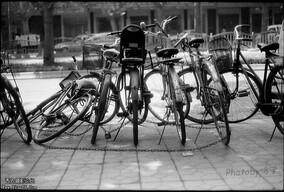 [传统黑白]——被锁住的自行车