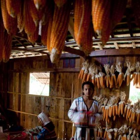 基诺族村落剪影