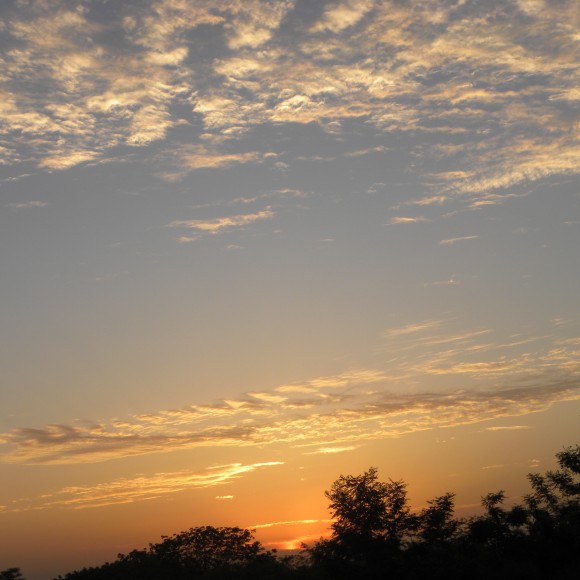 夕阳美图（原创摄影）