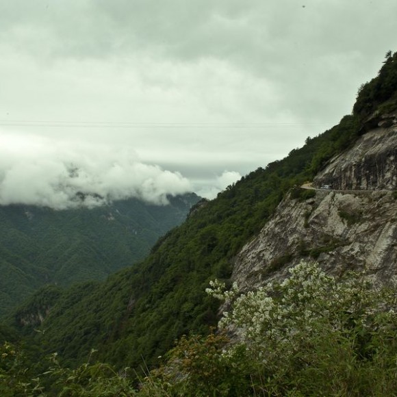 云横秦岭家何在