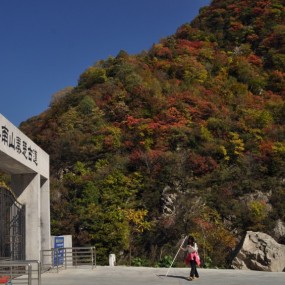 密林红叶尽染秦楚古道