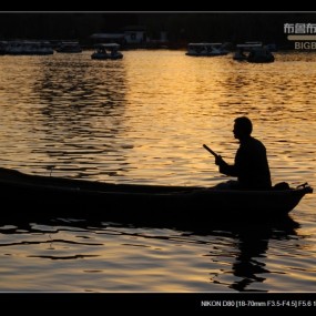 报道帖：金色的梦