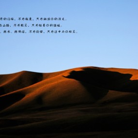 最美的情诗-致5.20