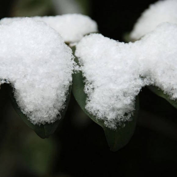 冬至前一天，西安终见下雪了