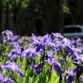 那时花开-1-西安纺织城