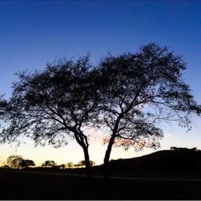 坝上秋来客何在