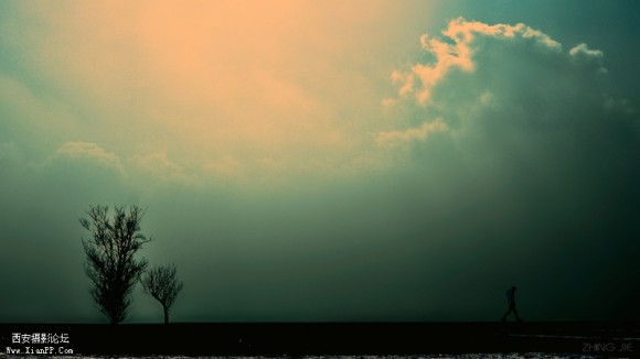 ~~~~~生命地平线~~~~