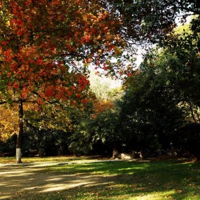 兴庆公园外拍活动