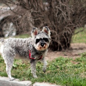 0326下午的几张小人像。。。。。等