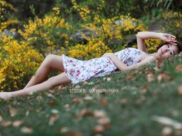 春天就这样包裹着我