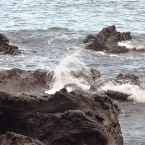 秋天，去韩国采“枫”